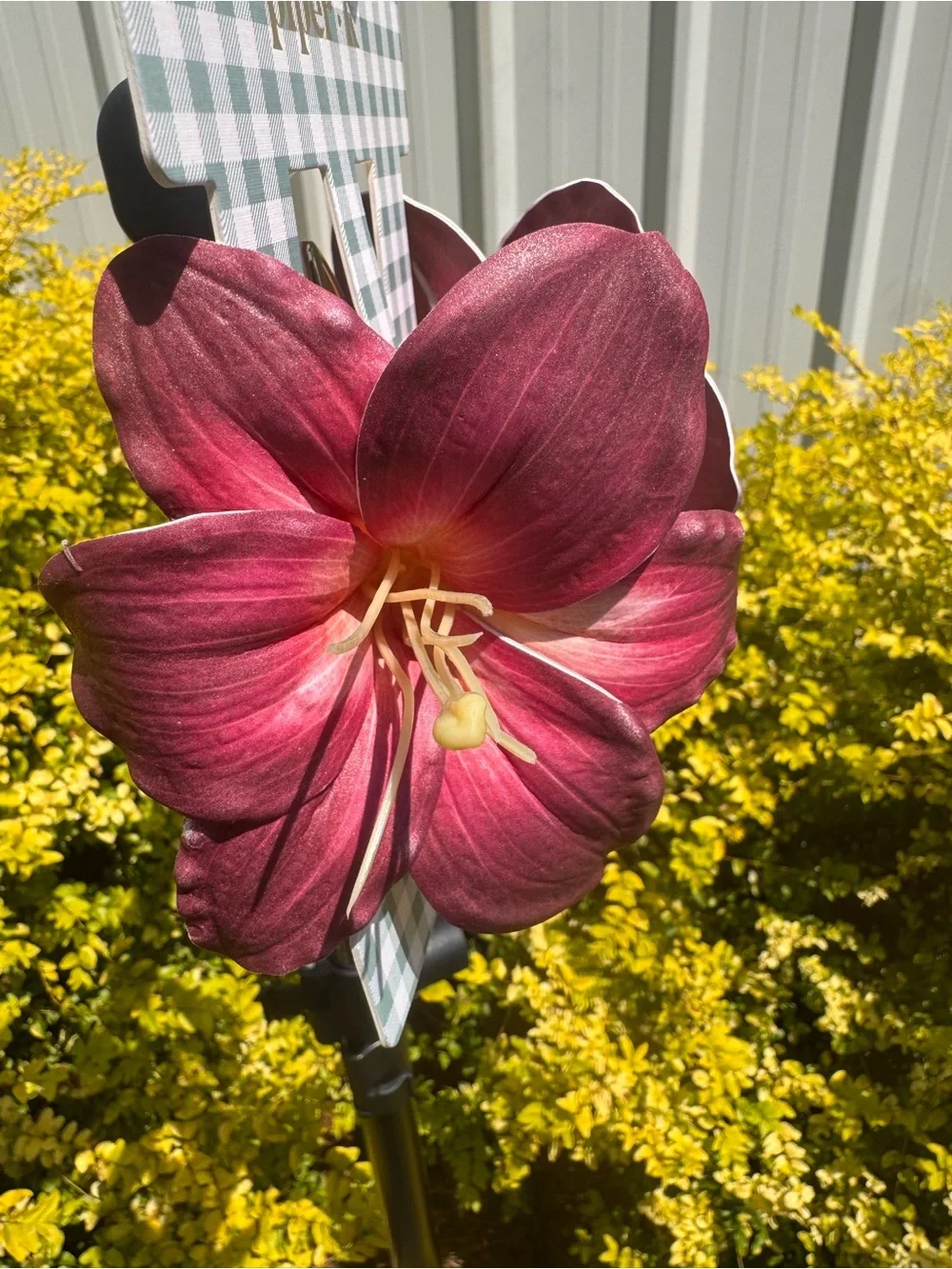 NWT Piper K Floral Lily Hair Claw Clip Burgundy Pink Gold Statement Boho Cottage